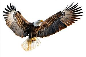 An eagle glides effortlessly with its wings fully spread, showcasing its powerful stature and striking features. The eagles keen eyes and strong talons define its presence as it dominates the scene. photo