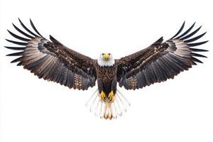 An impressive eagle is captured in mid-flight, showcasing its large, outstretched wings. The striking feathers and sharp beak reflect its powerful presence in a pristine setting. photo