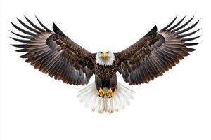 The eagle is prominently featured at the center, showcasing its impressive wingspan and detailed plumage. This majestic bird appears to be gliding gracefully, embodying freedom and strength. photo