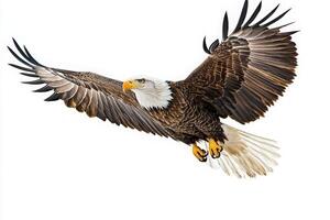 A striking eagle spreads its wings wide as it soars gracefully in the sky. The bird showcases its impressive feathers and powerful presence in this captivating moment. photo