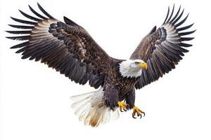 This striking eagle glides elegantly through the air, displaying its impressive wingspan and vibrant plumage. Its sharp eyes and strong talons signify mastery of aerial prowess. photo