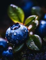Macro Shot of Nature Life in Forest , Detailed Forest Nature Photography photo