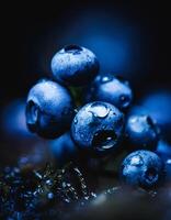 Macro Shot of Nature Life in Forest , Detailed Forest Nature Photography photo