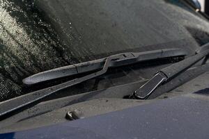 Close-up of a car windshield wiper. Wiper blade is black and appears to be made of rubber. Wiper arm is also black and has a metal spring attached to it. Background is blurred, of the hood of the car. photo