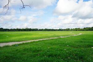 Green view of Kolkata Maidan Playground photo
