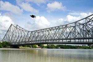 Bird fly beside the howrah bridge in front of Mullick Ghat photo