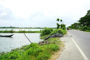 Road side Lake or Wetland at Kharibari Near Kolkata During Sunny Weather photo