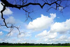 Sky and skyline of Kolkata from Kolkata Maidan photo