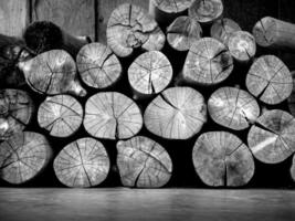 Stacked of firewood logs photo