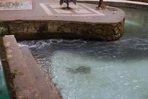 the atmosphere of the river in a tourist spot photo