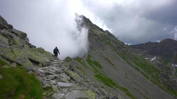 Trail on the slope, Poland, Zakopane. Kasperowy Wierch video