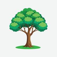 tree design graphic vector