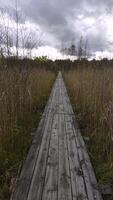 A straight wooden pathway stretches across the marshland on the Rakovyye Ozyora ecological trail video