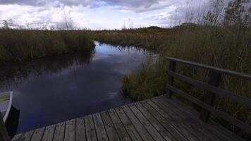 A light rain falls over a wooden dock, forming gentle ripples across the marsh water. Tall grass surrounds the dock, and the overcast sky adds to the tranquil atmosphere. video