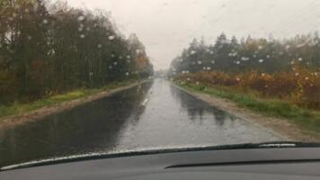 View through the car windshield, with drops of rain streaming down, onto an asphalt road lined with autumn forest video