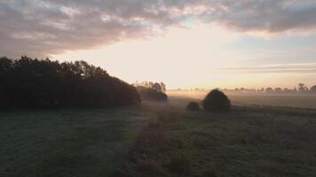 A field with trees and grass in the distance video