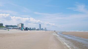 A beach with a city skyline in the background video