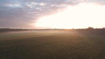 An aerial view of a field with the sun rising video