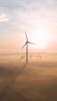 Wind turbine in the fog at sunrise video