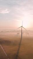 Wind turbine in the fog at sunrise video
