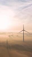Wind turbines in the fog at sunrise video