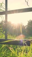 The sun is shining through a window in a field video