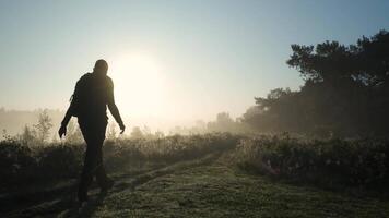A person walking in the fog with the sun in the background video