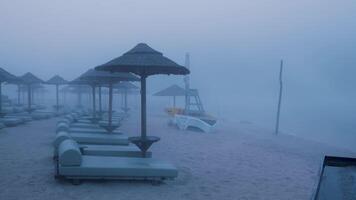 A beach with umbrellas and lounge chairs video