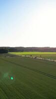 Aerial view of a field with a tractor and a tractor trailer video