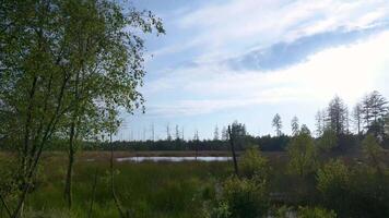 A field with trees and a pond in the background video
