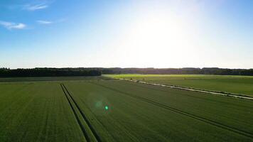 An aerial view of a field with green grass video