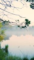 A lake surrounded by trees and grass video