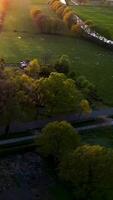 A field with trees and grass video