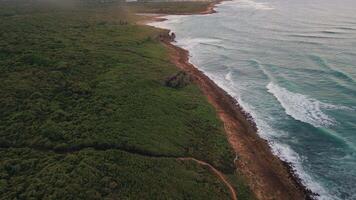 Top view of the coral coast.Turquoise ocean waves rush in and break with foam on the coral shore.A strip of golden sand and tropical vegetation of the coast of the Dominican Republic. video
