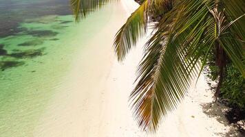 Aerial view of Caribbean beach background. Sunny tropical beach. Hot afternoon on an empty beach. The best beaches in the world. Dominican Republic beaches. video