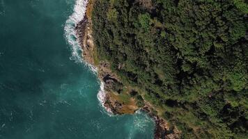 Aerial top view of wild tropical coast of Dominican Republic with rocky cliff and untouched nature.A light breeze rolls onto the shore with turquoise ocean waves.A luxurious landscape for relaxation video