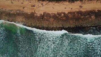 Top view of the coral coast.Turquoise ocean waves rush in and break with foam on the coral shore.A strip of wild beach with golden sand on the coast of the Dominican Republic. video