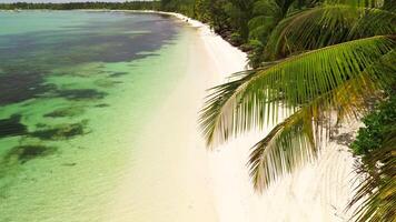 Aerial view of Caribbean beach background. Sunny tropical beach. Hot afternoon on an empty beach. The best beaches in the world. Dominican Republic beaches. video