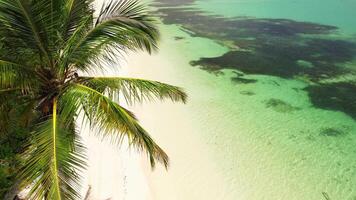 Aerial view of Caribbean beach background. Sunny tropical beach. Hot afternoon on an empty beach. The best beaches in the world. Dominican Republic beaches. video
