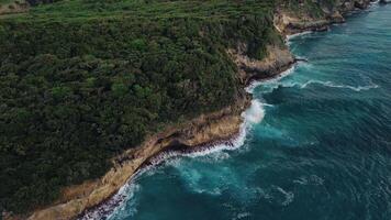 Aerial view of the wild tropical coast of the Dominican Republic with rocky cliff and untouched nature.A light breeze rolls onto shore with turquoise ocean waves.A luxurious landscape for relaxation video