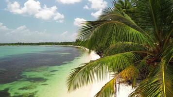 Aerial view of Caribbean beach background. Sunny tropical beach. Hot afternoon on an empty beach. The best beaches in the world. Dominican Republic beaches. video
