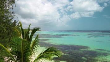 Aerial view of Caribbean beach background. Sunny tropical beach. Hot afternoon on an empty beach. The best beaches in the world. Dominican Republic beaches. video
