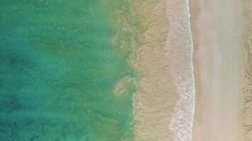 Top view of the beautiful turquoise ocean waves rolling in foam on the sandy tropical beach of the Atlantic Ocean along the coast of the Dominican Republic. Beauty is in the minimalism of nature. video