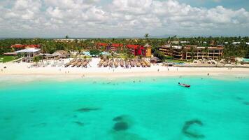 Aerial view of bright sunny day illuminates tropical beach of luxurious resort. People seen swimming and sunbathing on beach, which is dotted with palm trees and lounge chairs under thatched umbrellas video
