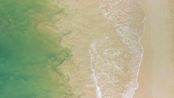 Top view of the beautiful turquoise ocean waves rolling in foam on the sandy tropical beach of the Atlantic Ocean along the coast of the Dominican Republic. Beauty is in the minimalism of nature. video