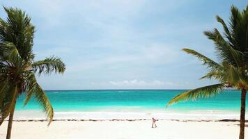 Palm trees frame view, creating perfect atmosphere for relaxation. In background, few people walking along shore. There ample space for text, making it perfect for advertising or promotional material. video