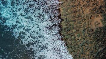 Top view of the coral coast.Turquoise ocean waves are lapping at the coral shore.A relaxing drone shot on the beach of a tropical resort.Waves break with foam on the shore. A paradise for impressions. video