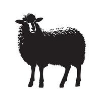 Sheep silhouette isolated on white background vector
