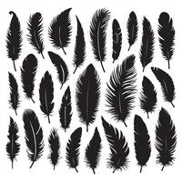 bird feather, collection silhouette on a white background vector