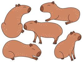 Capybaras flat set. Different capybara characters set vector